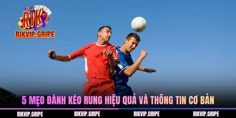 5 mẹo đánh kèo rung hiệu quả và thông tin cơ bản