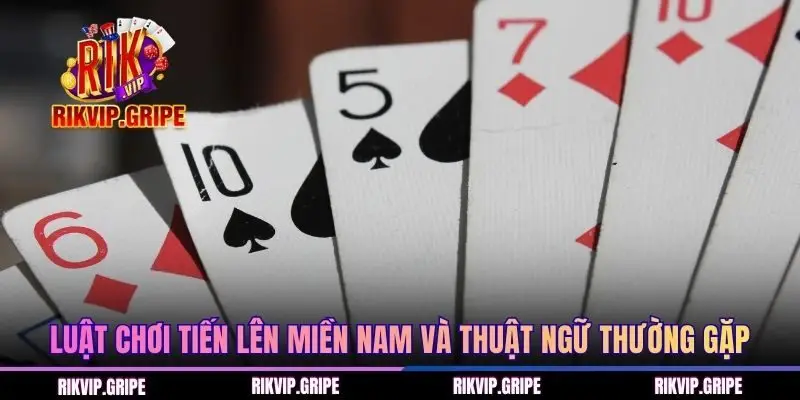 Luật chơi Tiến lên miền Nam và thuật ngữ thường gặp
