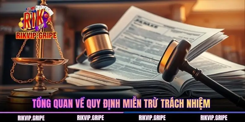 Tổng quan về quy chuẩn miễn trừ trách nhiệm