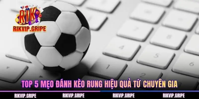 Top 5 mẹo đánh kèo rung hiệu quả từ chuyên gia